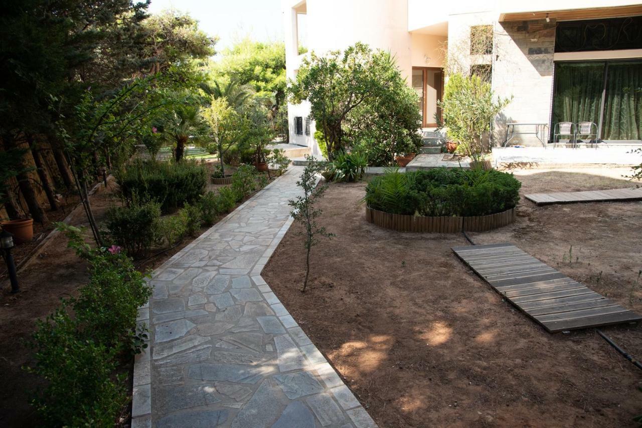 Cozy Loft 360O View Of Athens Apartment ภายนอก รูปภาพ